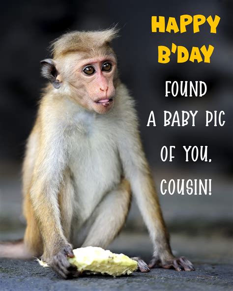Free Funny Happy Birthday Image For Cousin With A Monkey