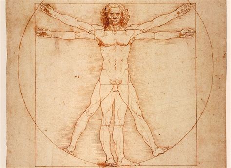 L Uomo Vitruviano Di Leonardo Andr Al Louvre La Decisione Del Tar Zon