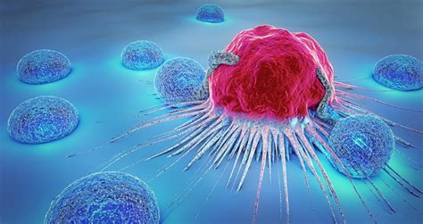Breakthrough May Explain Why Cancer Immunotherapies Can Backfire