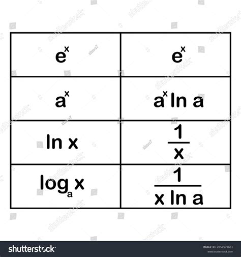 Derivatives Logarithmic Exponential Functions Stock Vector (Royalty