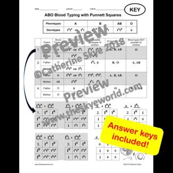 Before the amoeba sisters finish filling in these punnett squares which cross will produce a possible offspring that is type o? Blood Type Punnett Square Worksheet With Answers - worksheet