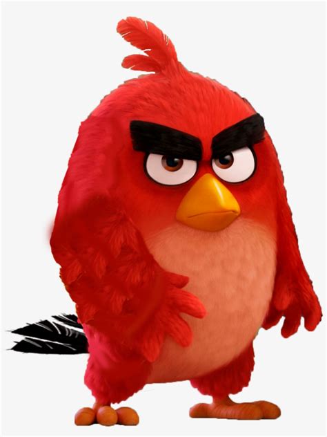 Angry Birds Images Red Hd Wallpaper And Background Red Angry Birds Movie Png Transparent Png