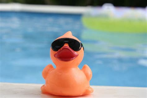Duck With Sunglasses Rubber Ducky Rubber Duck Ducky