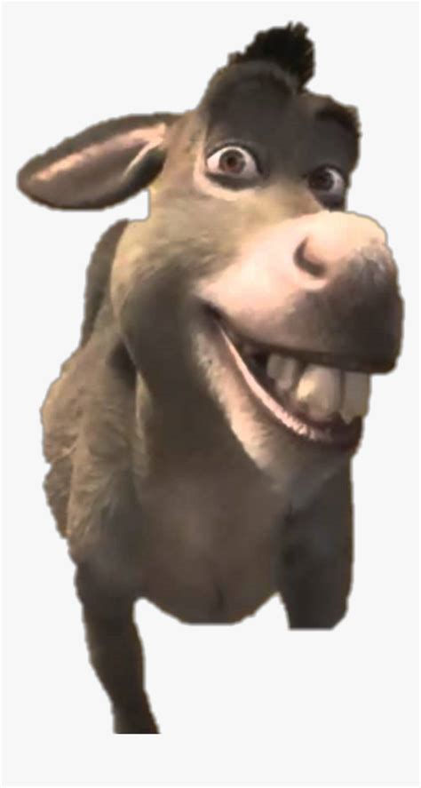 Donkey From Shrek Wallpaper