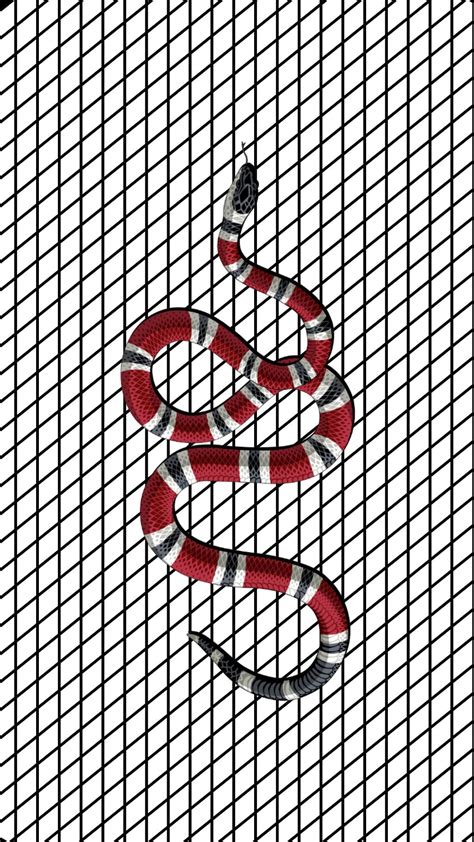 Background Gucci Snake Wallpaper Wallpaper Heaven