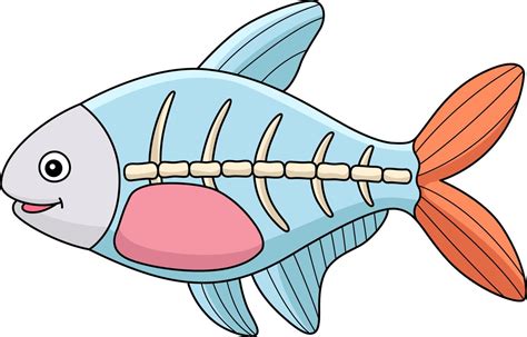 X Ray Fish Vector Art Icons And Graphics For Free Download