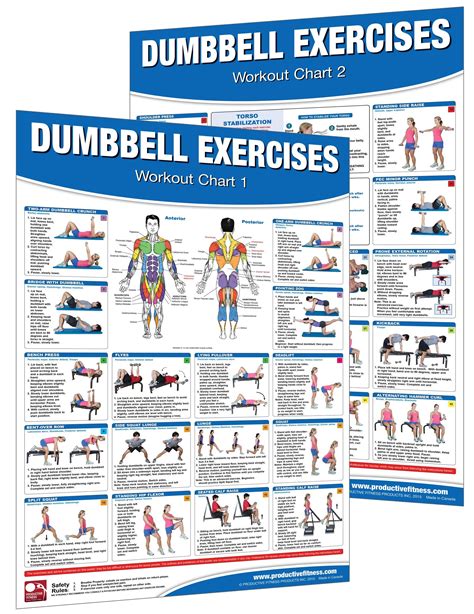 Dumbbell Workout Poster Chart Set Shoulder Training Dumbbell