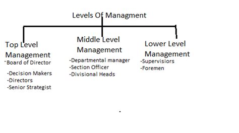 Level Of Management Top Level Middle Level And Lower Level Management
