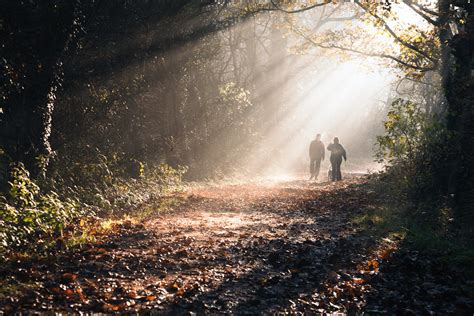 a walk in the woods a couple walking through the woods in … gavin clarke flickr