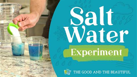 Salt Water Experiment Water And Our World The Good And The