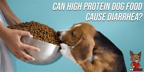 Can High Protein Dog Food Cause Diarrhea K9 Rocks