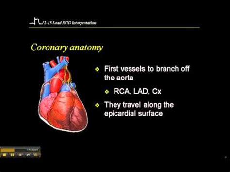 4th ic, left sternal border v3: 12-15 Lead ECG: Coronary Anatomy Part 1 - YouTube