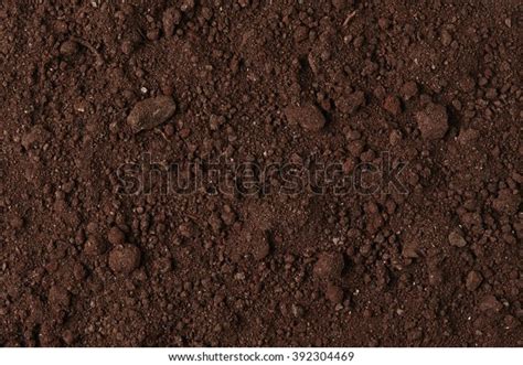 Black Soil Texture Background Top View Stock Photo Edit Now 392304469