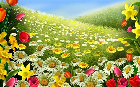 27 Daisy Backgrounds Wallpapers Images Pictures Design Trends