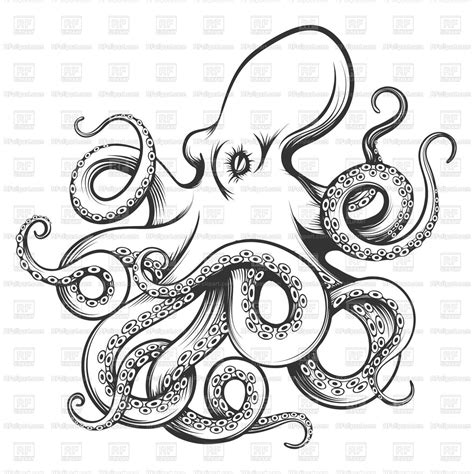 Royalty Free Vector Image Of Octopus Drawn In Engraving Style Isolated