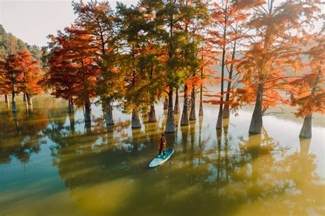 Aerial View Of Traveller On Sup Board At The Lake With Autumnal