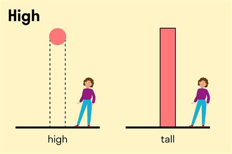 Taller Tall
