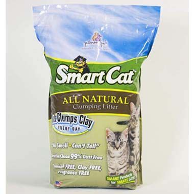What are the best cat litter products available today on the market? 10 Best Lightweight Cat Litter 2021 - Reviews & Top Picks ...
