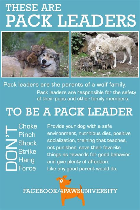 Pack Leaders Dog Training And Behavior Pinterest