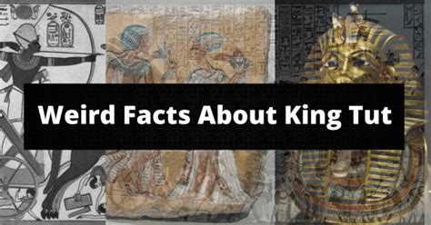 Weird Facts About King Tut Factstory