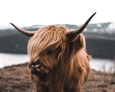 Tolle Schottland Fotospots Binmalkuerzweg