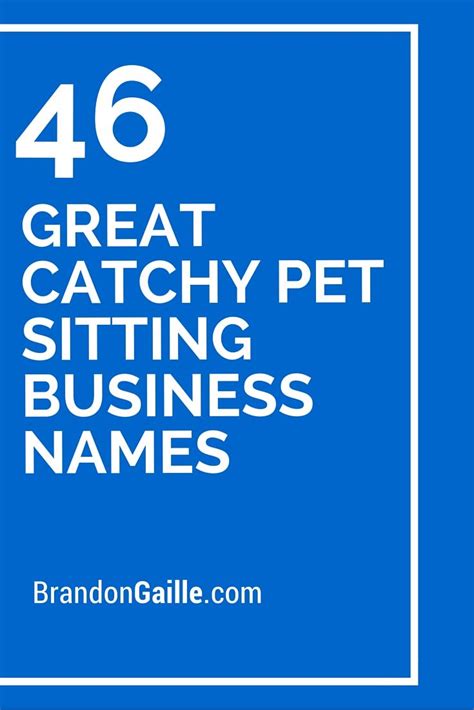 125 Great Catchy Pet Sitting Business Names Pet Sitting Business Pet