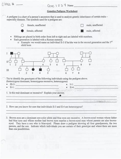 Genetics Pedigree Worksheet Answer Key Db Excel