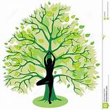 Yoga Tree Images