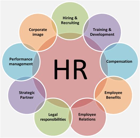 Creating A Highly Functional Hr Department Vrogue