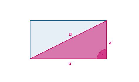321 Triángulos Rectángulos En Paralelogramos Geometría De 1º Eso