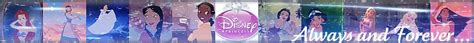 Disney Princess Banner Princesses Disney Photo 29272425 Fanpop