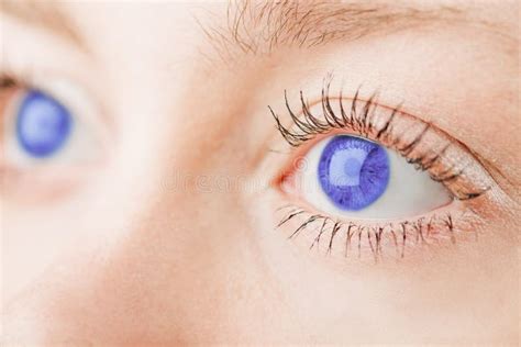 Beautiful Blue Eyes Stock Image Image Of Human Iris 130214951