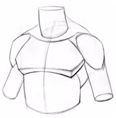 Learning to draw muscles may conjure medical charts in daunting details, but such complexity is first a few words about anatomy: How to Draw Pecs - Anatomy | Proko