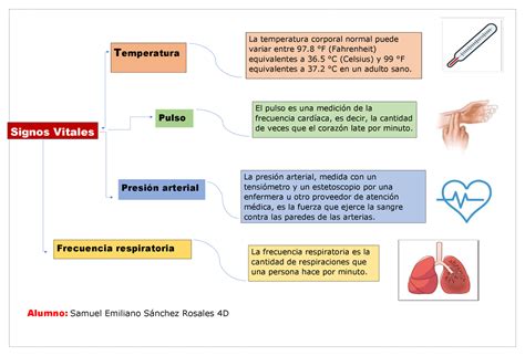 Mapa Conceptual De Los Signos Vitales Solex Porn Sex Picture My XXX