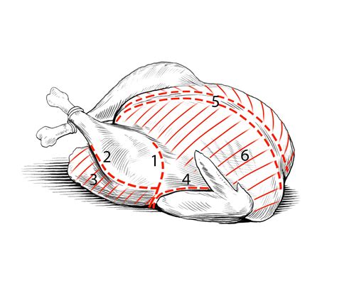 How To Carve A Turkey For A Picture Perfect Thanksgiving