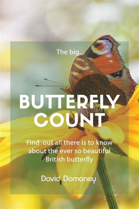 The Big Butterfly Count David Domoney The Big Butterfly Count