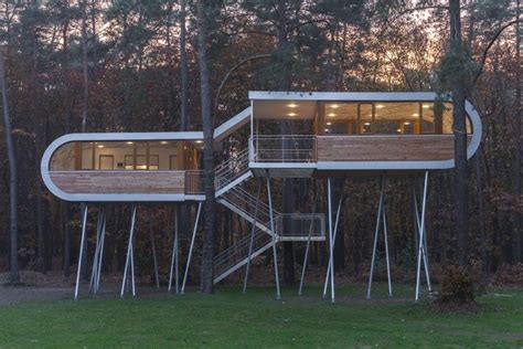 The Tree House Baumraum Archdaily