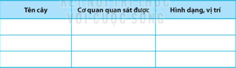 Sách Bài Tập Khtn 6 Kết Nối Tri Thức Bài 24 Thực Hành Quan Sát Và