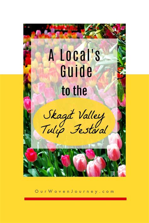 skagit valley tulip festival everything you need to know before you go 2022 our woven
