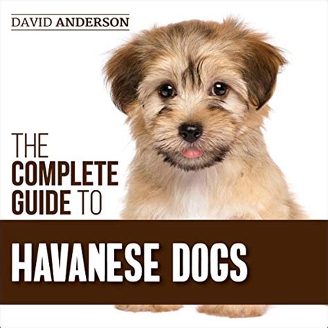 The Complete Guide To Havanese Dogs Everything You Need To