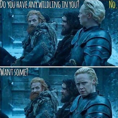 Pin By Marymargaret On Tv Got Memes Game Of Thrones Meme Tormund And Brienne