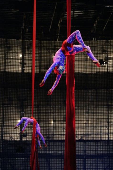 Cirque La Nouba 15th Anniversary Show Aerial Silks Cirque Du Soleil