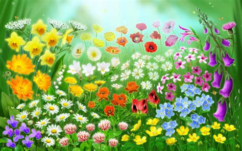 Animated Flower Pictures Beautiful Flowers