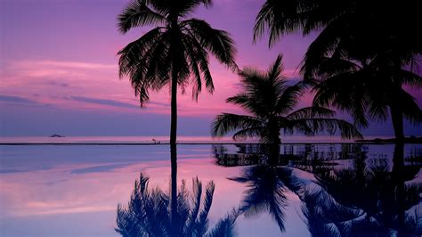 Картинки природа пейзаж красивый тропический тропики закат пальмы