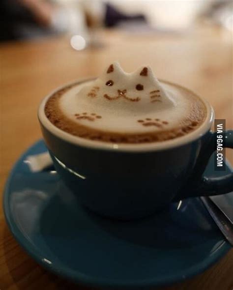 Coffee Cat 9gag