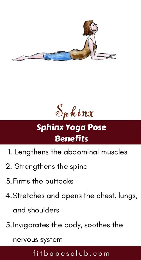 How To Do Sphinx Pose And Benefits Easy Yoga Workouts Yoga Benefits