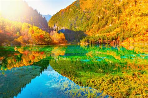 View Of Five Flower Lake At Autumn Sunrise Time Stock Photo Image Of