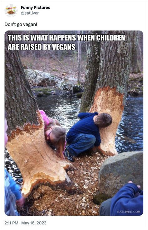 Plant Based Humor Hilarious Vegan Memes 30 Pics