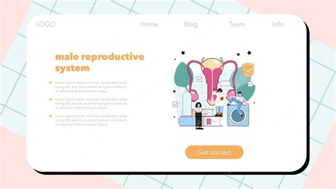 Premium Vector Sexual Education Web Banner Or Landing Page Sexual Health Lesson