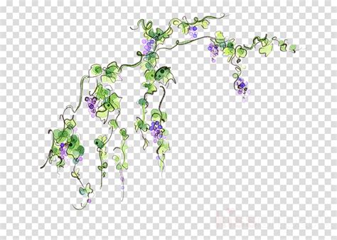 Flower Vine Painting Png